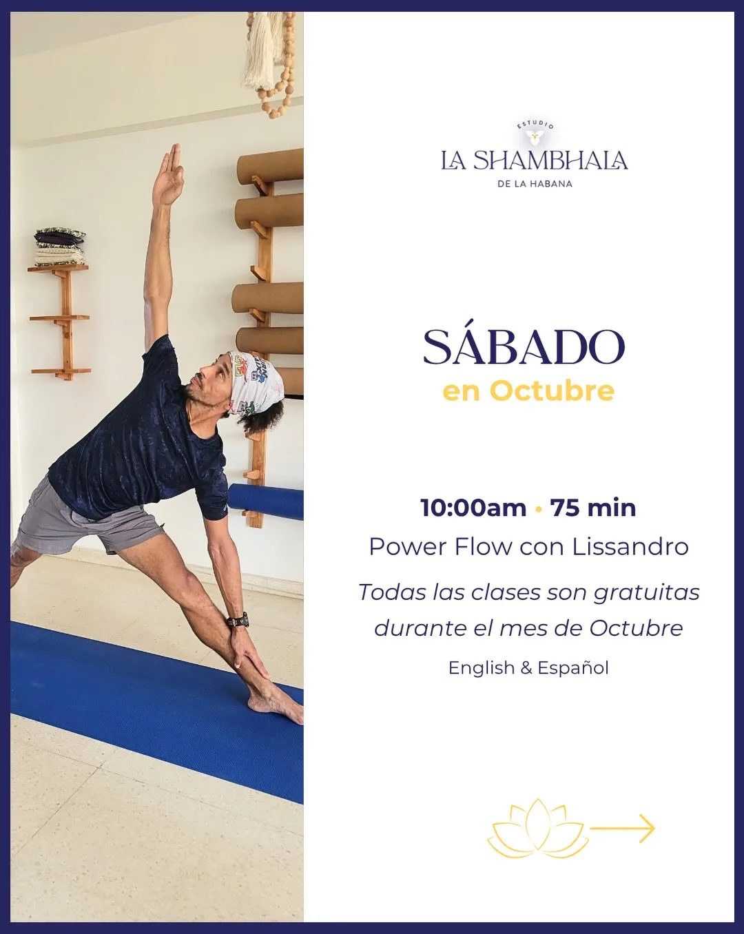 Power Flow con Lissandro