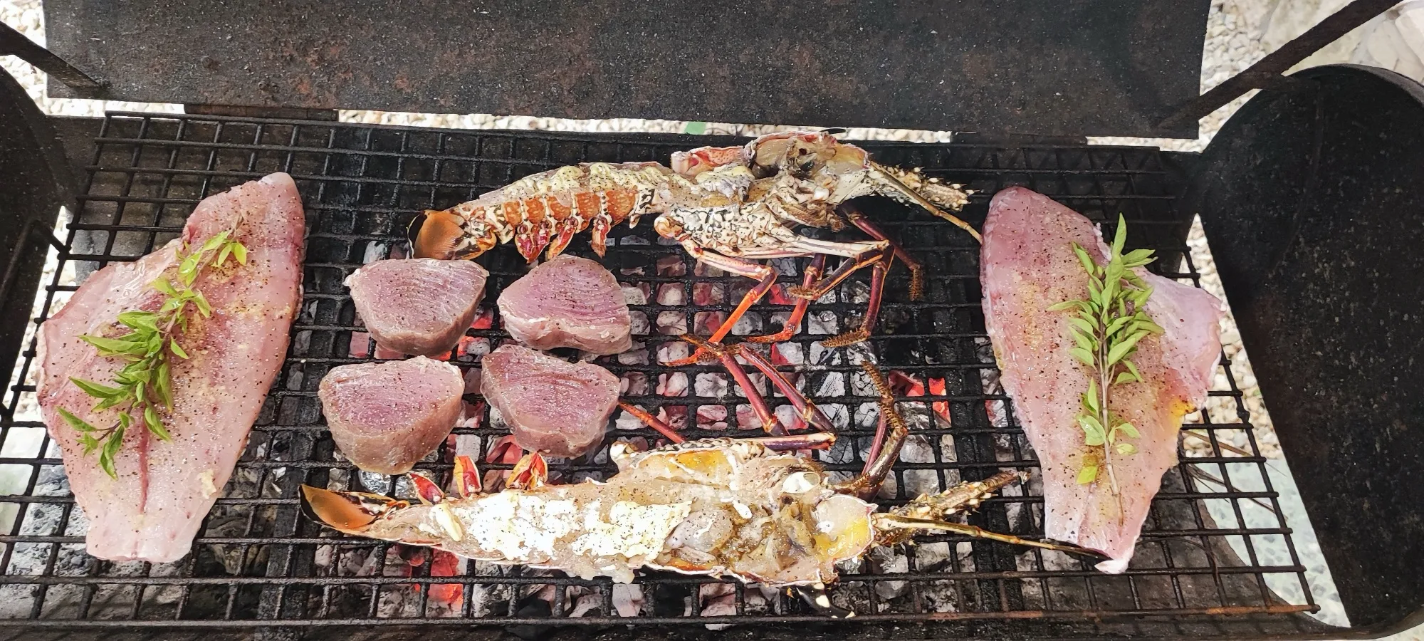 Filetes de pescado con ramas de hierbas, medallones de atún y una langosta abierta sobre la parrilla de carbón