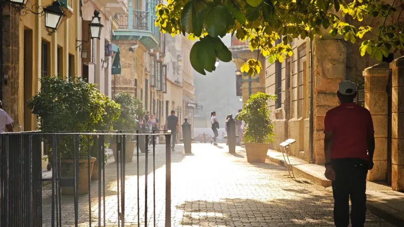 Calle de La Habana Vieja con luz de tarde, árboles y balcones